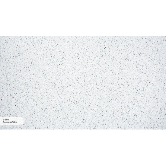E-609 Business Tokio Grandex