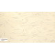 M 704 B Shell Surface Grandex