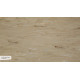 M 705 A Lake Coast Grandex